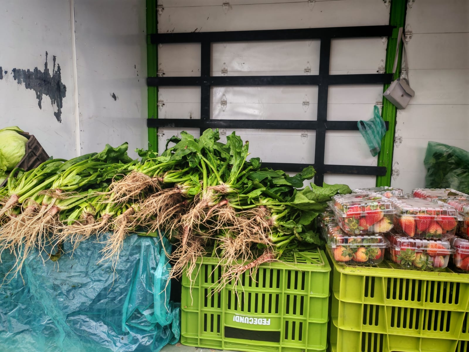 ¡EL CAMPO SE TOMÓ LA CIUDAD EN UN EVENTO INOLVIDABLE! 