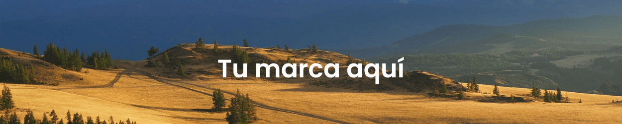 Prueba 123